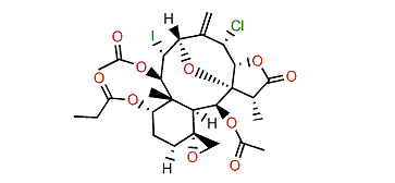 Fragilisinin L